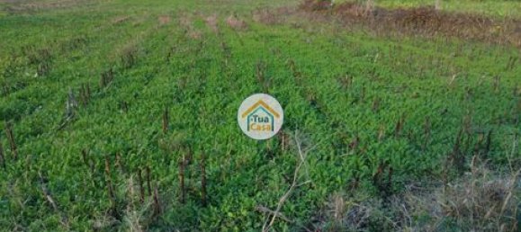 Grundstück in Barcelos, Portugal 3600m², Nr. 150789 26