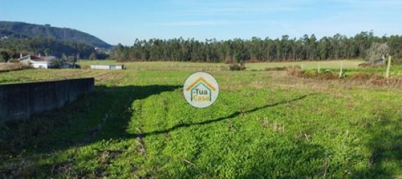 Grundstück in Barcelos, Portugal 3600m², Nr. 150789 22