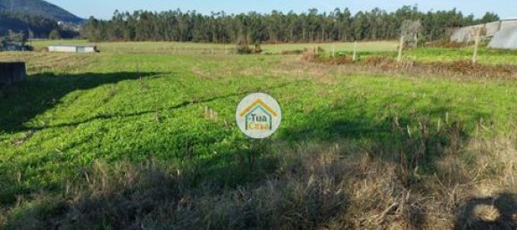 Grundstück in Barcelos, Portugal 3600m², Nr. 150789 3