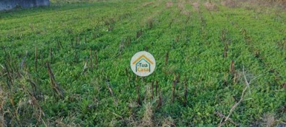 Grundstück in Barcelos, Portugal 3600m², Nr. 150789 24