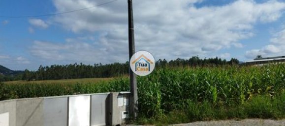 Grundstück in Barcelos, Portugal 3600m², Nr. 150789 13