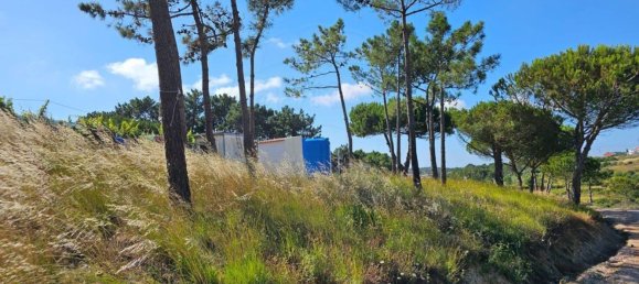 5350m² Land in Ericeira, Portugal No. 147264 19