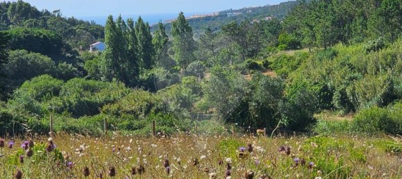 5350m² Land in Ericeira, Portugal No. 147264 7