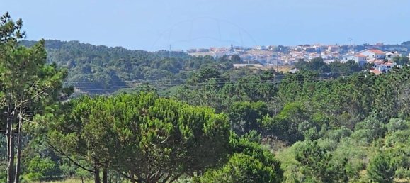 5350m² Land in Ericeira, Portugal No. 147264 10