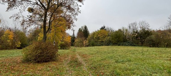  قطعة أرض في Harz, Germany رقم 144106 4