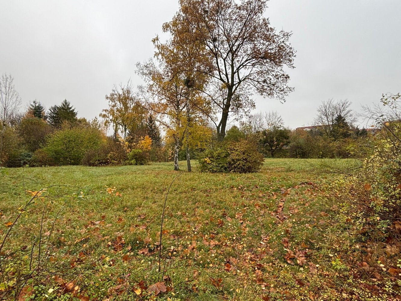  قطعة أرض في Harz, Germany رقم 144106