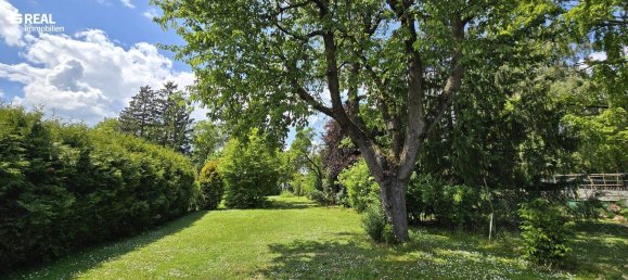 Casa de 4 habitaciónes en Bad Pirawarth, Austria No. 169235 4