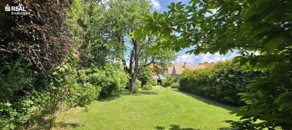 Casa de 4 habitaciónes en Bad Pirawarth, Austria No. 169235 5