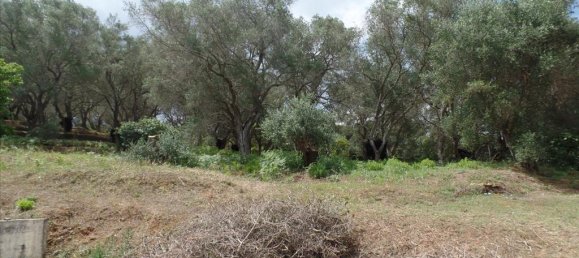  فندق في Corfu, Greece 4005متر مربع رقم 5637 2