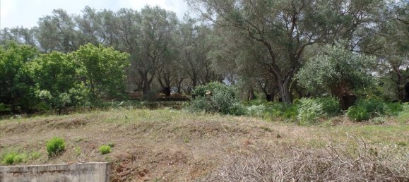  فندق في Corfu, Greece 4005متر مربع رقم 5637 3