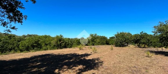 Grundstück in Vetralla, Italy 15140m², Nr. 257889 8