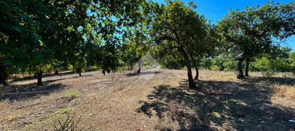 Grundstück in Vetralla, Italy 15140m², Nr. 257889 6