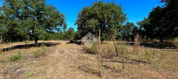 Grundstück in Vetralla, Italy 15140m², Nr. 257889 7