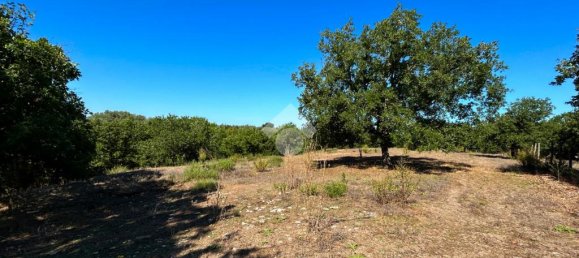 Grundstück in Vetralla, Italy 15140m², Nr. 257889 2