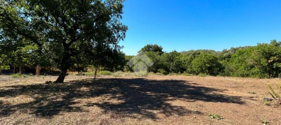 Grundstück in Vetralla, Italy 15140m², Nr. 257889 5