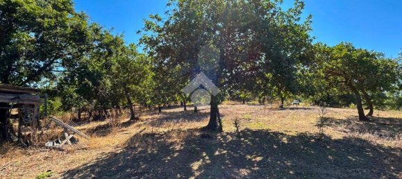 Grundstück in Vetralla, Italy 15140m², Nr. 257889 4