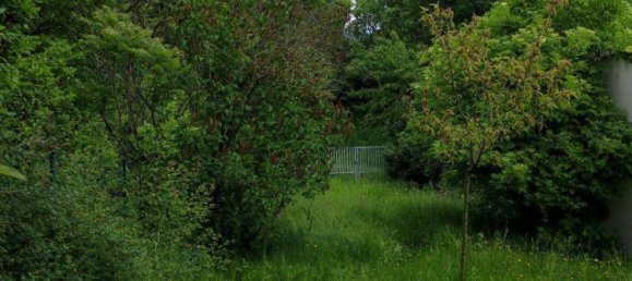 3 rooms House in Altenburg, Austria No. 152525 10