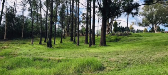 Terrain à New South Wales, Australia 12000m² No. 1123 11