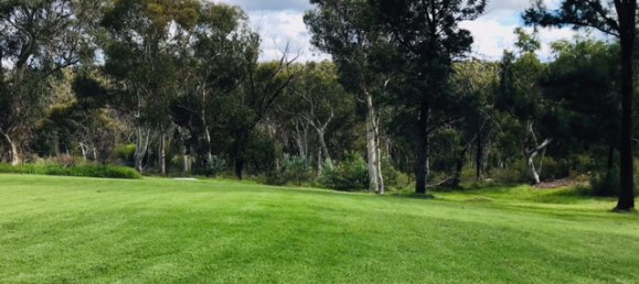 Terrain à New South Wales, Australia 12000m² No. 1123 8