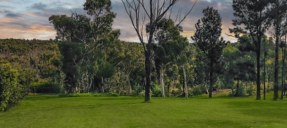 Terrain à New South Wales, Australia 12000m² No. 1123 5