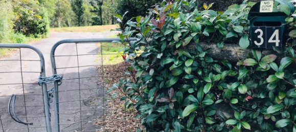 Terrain à New South Wales, Australia 12000m² No. 1123 7