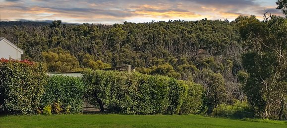 Terrain à New South Wales, Australia 12000m² No. 1123 2