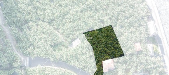 Grundstück in Ponta do Sol, Portugal 759m², Nr. 96211 5