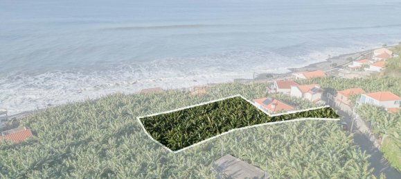 Grundstück in Ponta do Sol, Portugal 759m², Nr. 96211 7