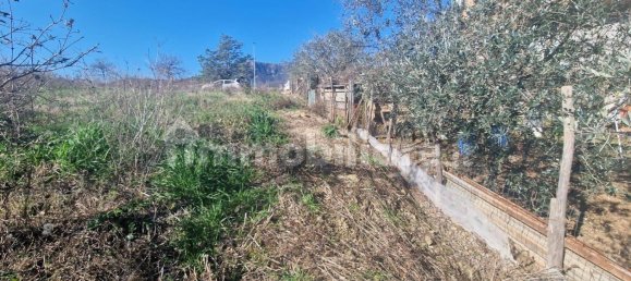 1100m² Land in Castiglione del Genovesi, Italy No. 315822 2