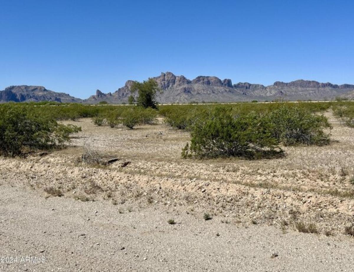  Land in Tonopah, USA No. 479402