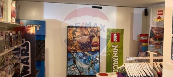 Gewerbliche Immobilie in Viseu, Portugal 486m², Nr. 48399 2