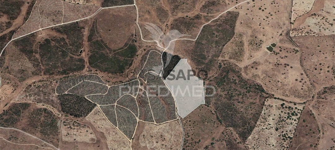  Land in Nisa, Portugal No. 277548