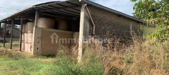 Terreno en Palestrina, Italy 12000 m² No. 327662 9