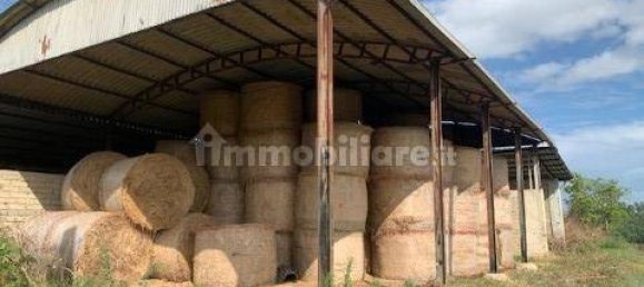 Terreno en Palestrina, Italy 12000 m² No. 327662 5