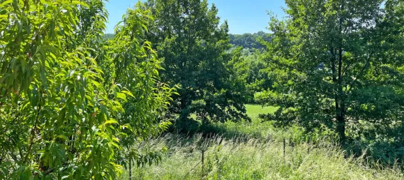 2 bedrooms Townhouse in Altenkirchen, Germany No. 173683 29