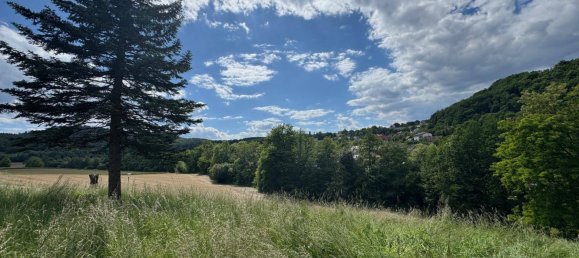  Land in Feldbach, Austria No. 162495 13