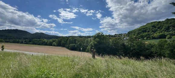  Land in Feldbach, Austria No. 162495 5