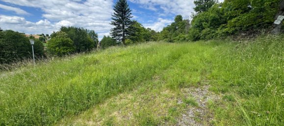  Land in Feldbach, Austria No. 162495 8