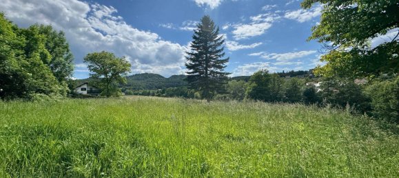  Land in Feldbach, Austria No. 162495 3