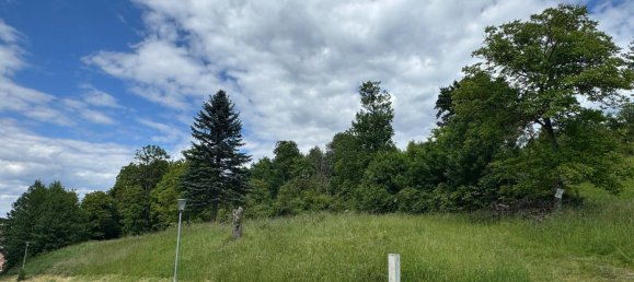  Land in Feldbach, Austria No. 162495 6