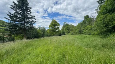  Land in Feldbach, Austria No. 162495