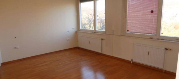 Apartamento de 3 divisões em Baden, Austria N.º 97366 11