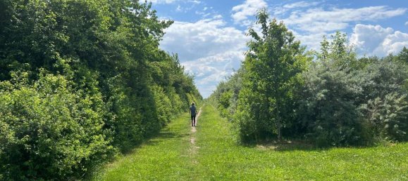 Adosado de 4 habitaciónes en Liesing, Austria No. 127676 17