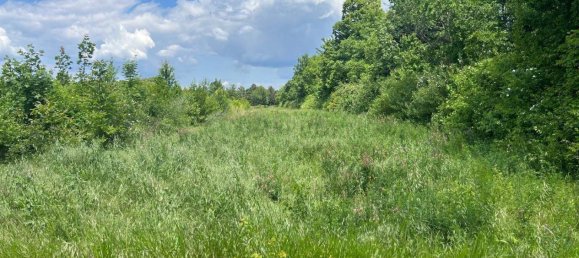 Adosado de 4 habitaciónes en Liesing, Austria No. 127676 20
