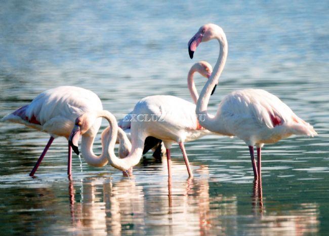 Villa 3+1 em Bodrum, Turkey N.º 27386