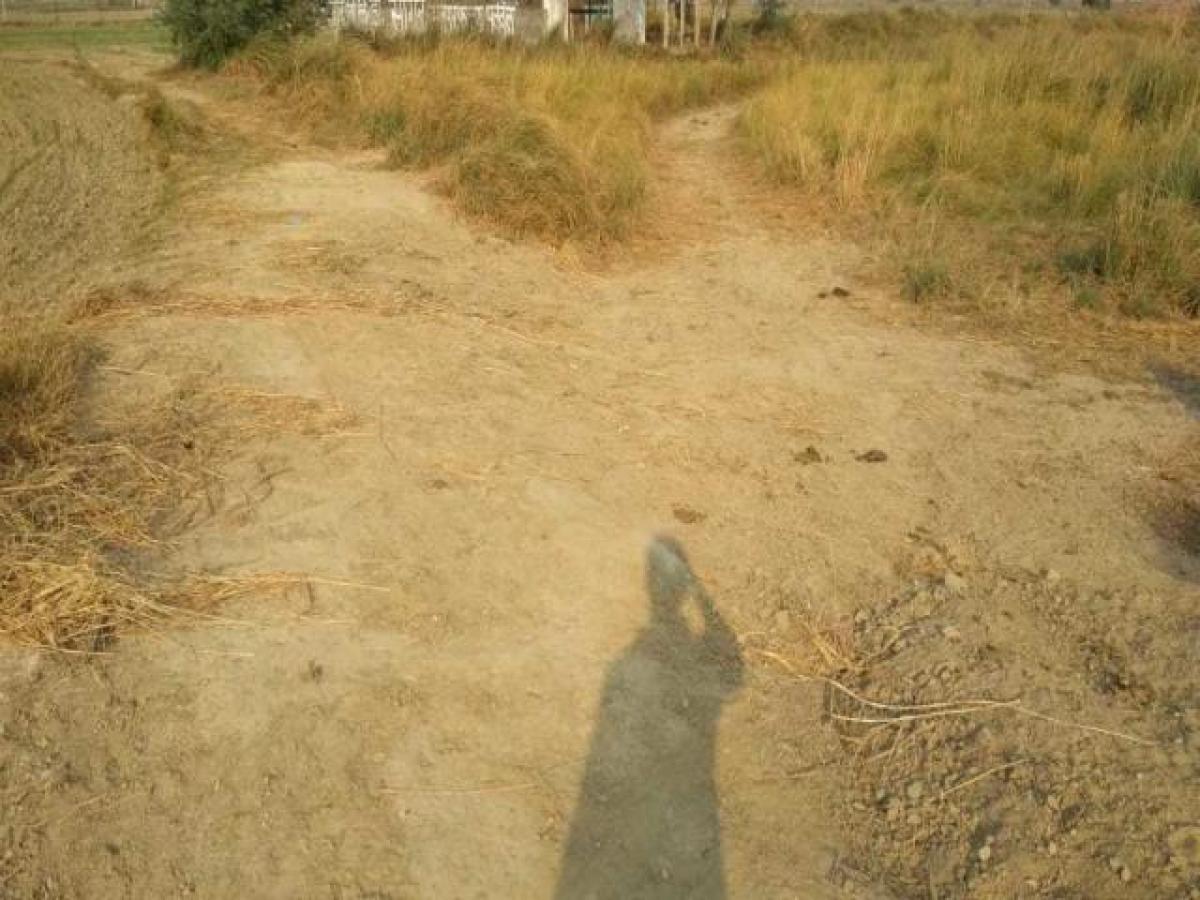  Land in Noida, India No. 66103