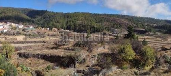 4 bedrooms House in Vilaflor, Spain No. 29760 11