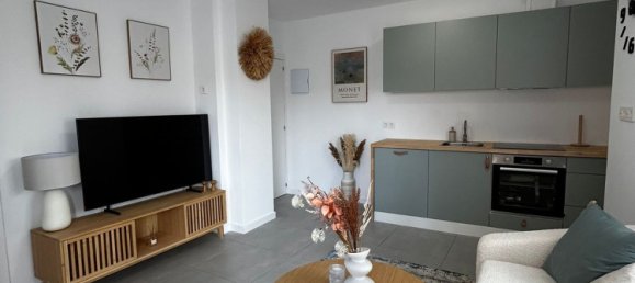 Квартира с 1 спальней в Торревьеха, Испания № 160671 31