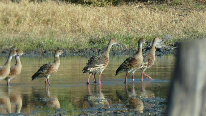 7 rooms Apartment in Salzburg, Austria No. 179238