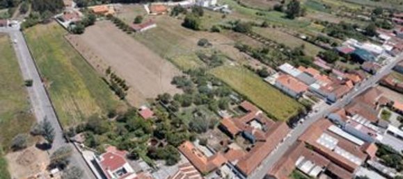 3 Schlafzimmer Haus in Aveiro, Portugal, Nr. 173613 28